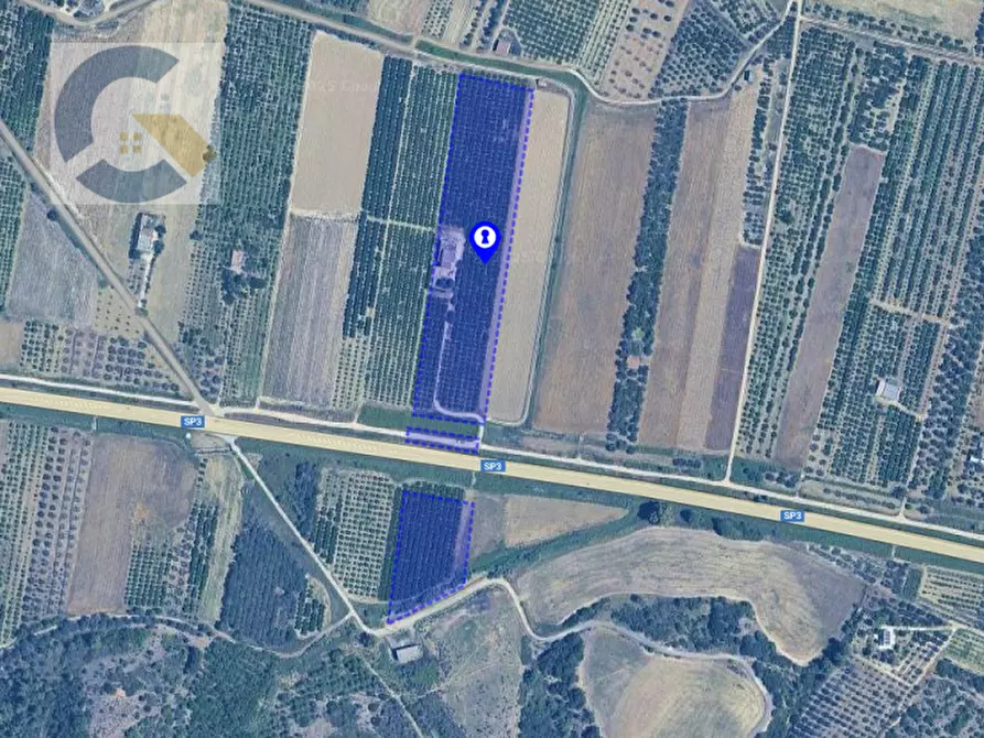 Immagine 5 di Villa in vendita  a Montescaglioso