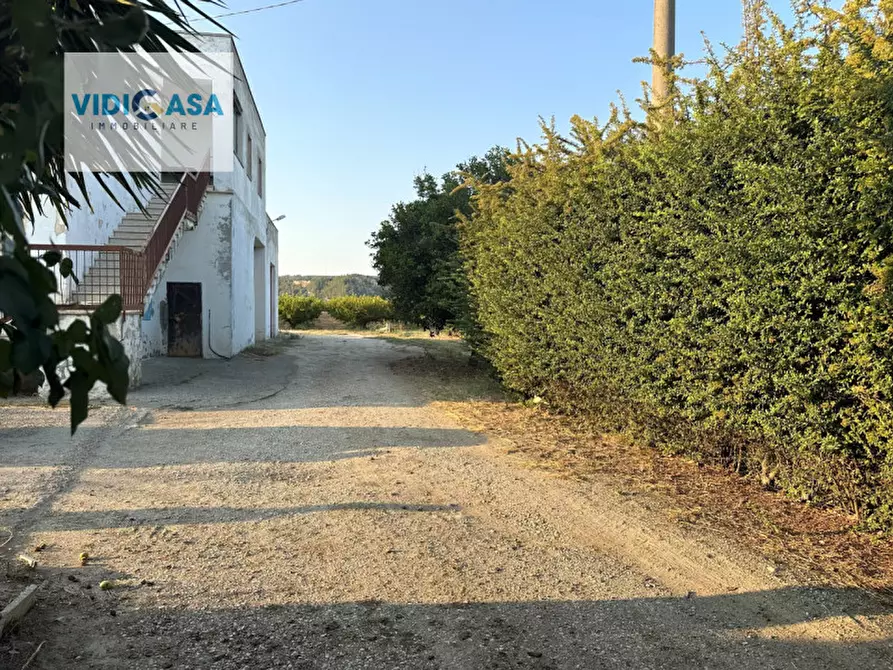 Immagine 6 di Villa in vendita  a Montescaglioso