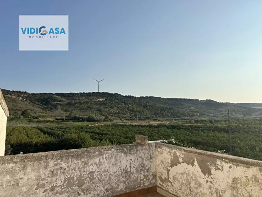 Immagine 15 di Villa in vendita  a Montescaglioso