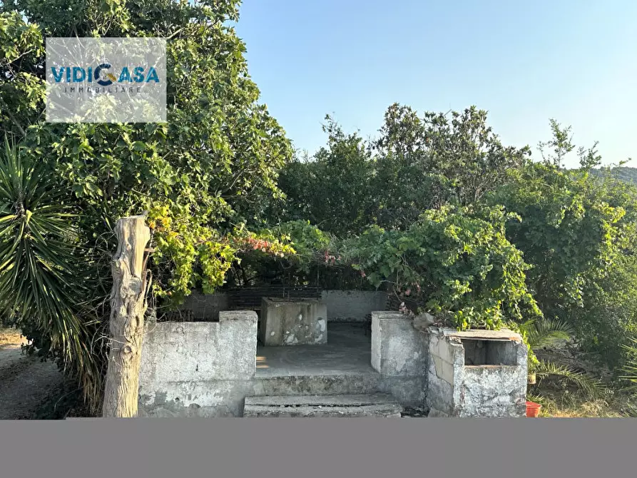 Immagine 27 di Villa in vendita  a Montescaglioso