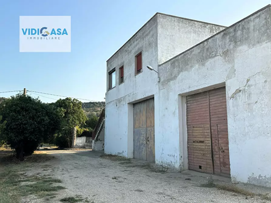 Immagine 28 di Villa in vendita  a Montescaglioso