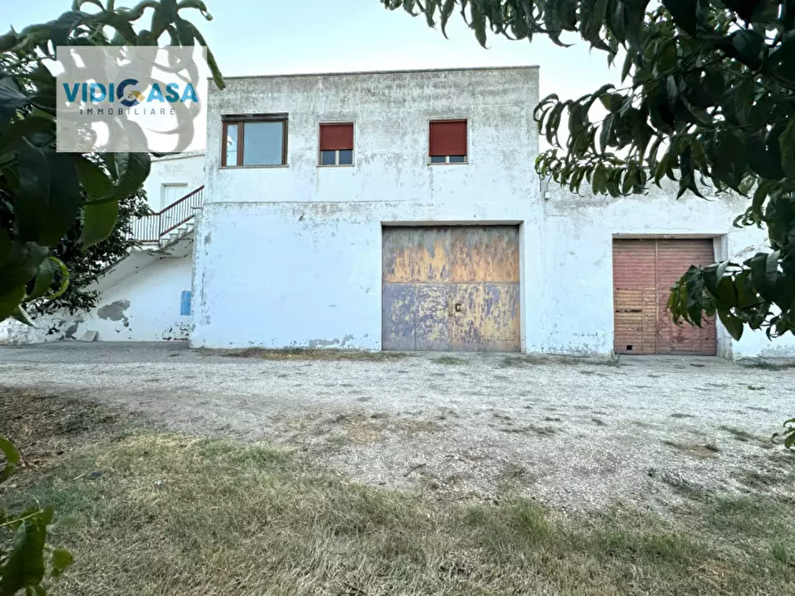 Immagine 29 di Villa in vendita  a Montescaglioso