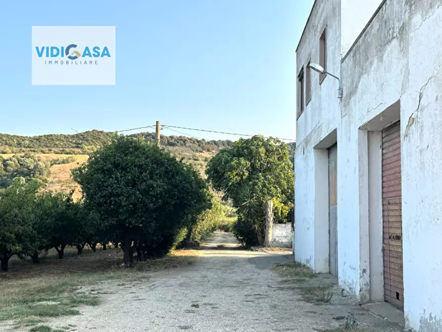 Immagine 32 di Villa in vendita  a Montescaglioso