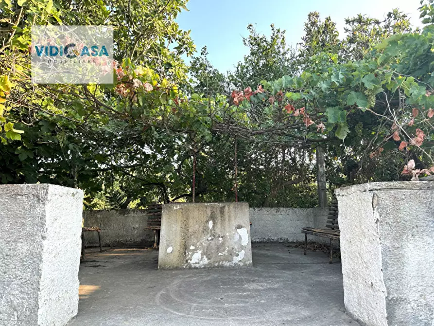 Immagine 31 di Villa in vendita  a Montescaglioso