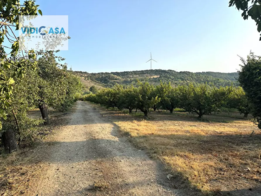 Immagine 35 di Villa in vendita  a Montescaglioso