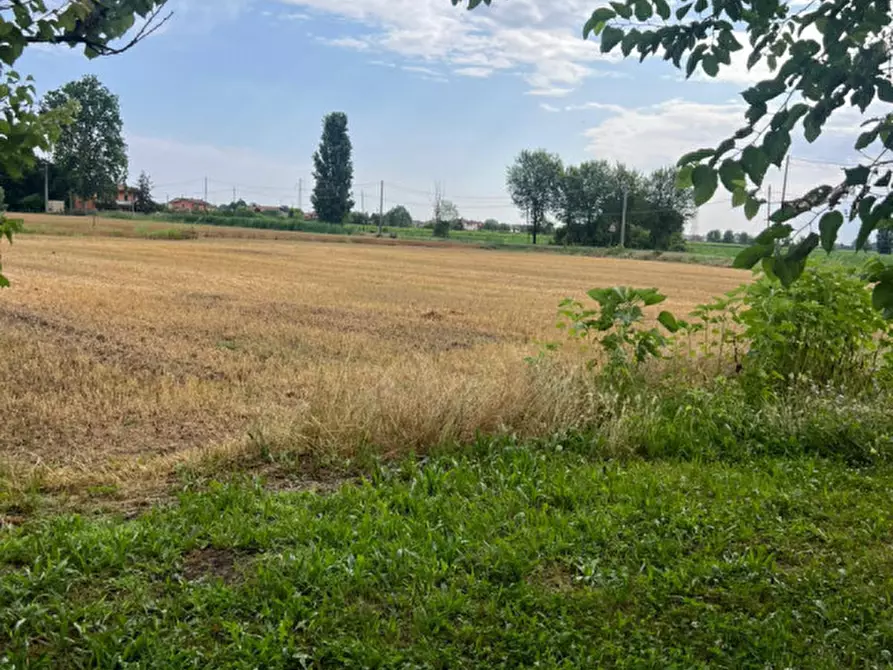 Immagine 3 di Casa bifamiliare in vendita  in Via Cuoro a Solesino