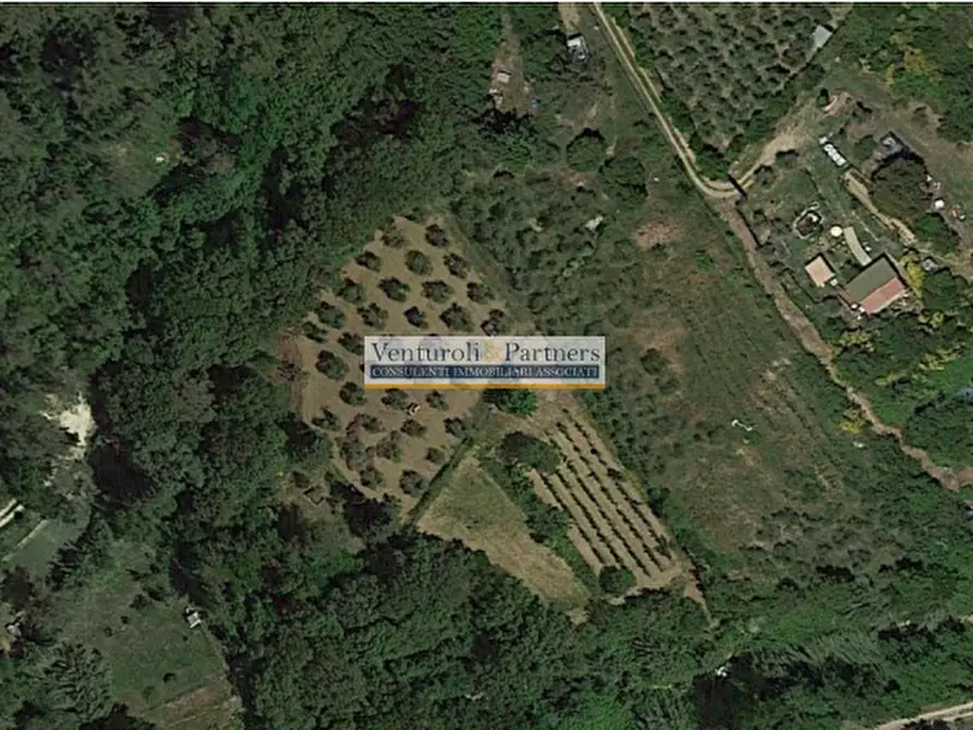 Immagine 2 di Terreno in vendita  in Via delle Vignacce a Livorno