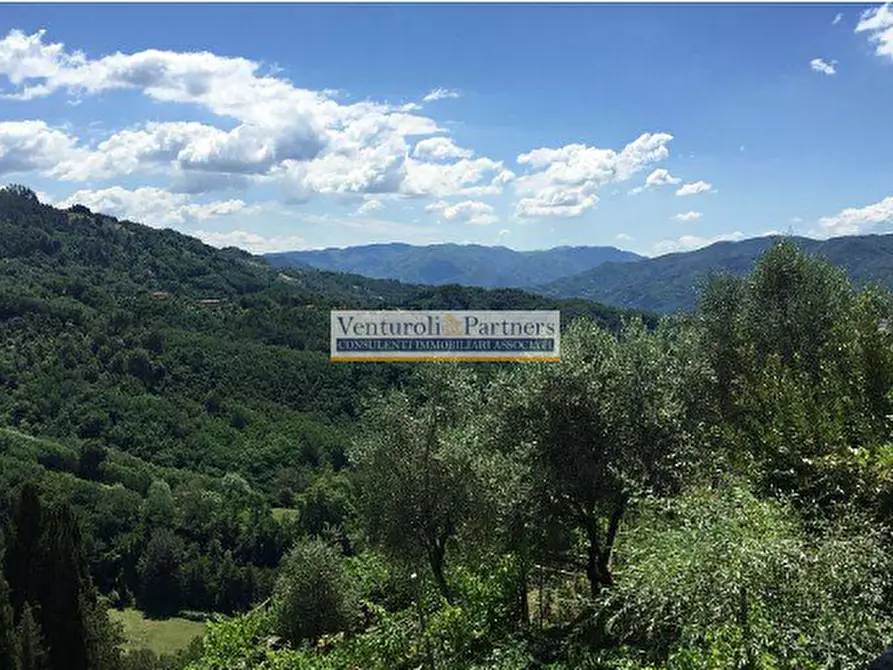 Immagine 3 di Terreno in vendita  in Via delle Vignacce a Livorno