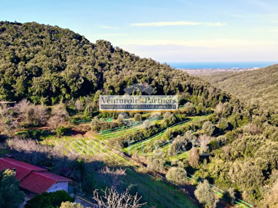 Immagine 4 di Terreno in vendita  in Via delle Vignacce a Livorno