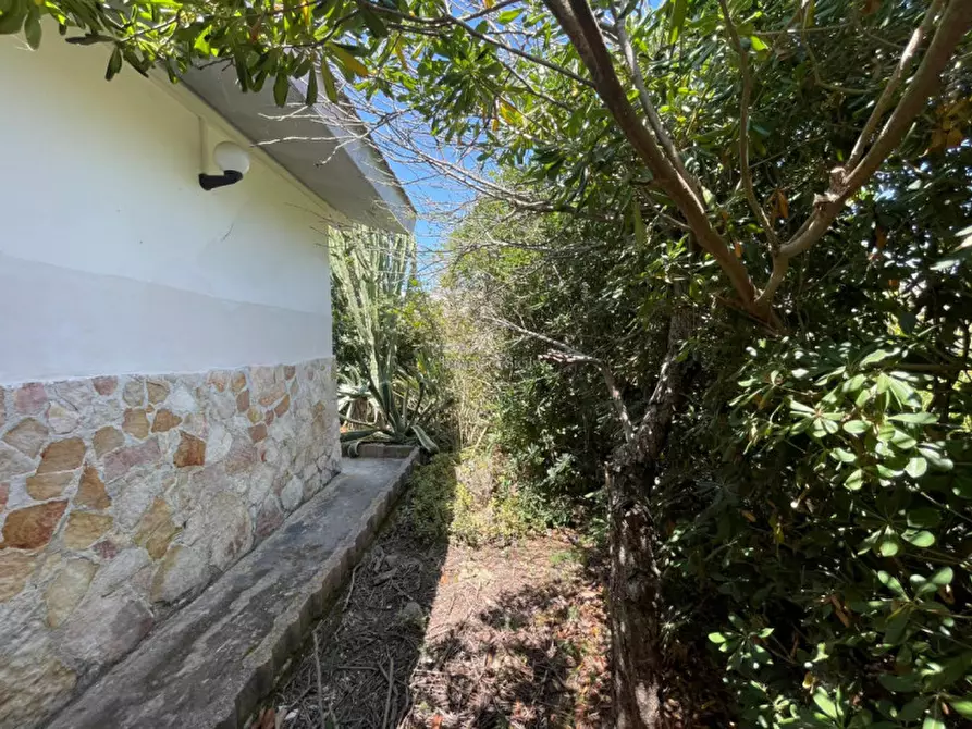 Immagine 41 di Casa indipendente in vendita  in Viale Aloha a Pachino