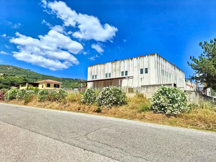 Immagine 1 di Capannone industriale in vendita  in Zona industriale, 07030 Muros SS, Italia a Muros