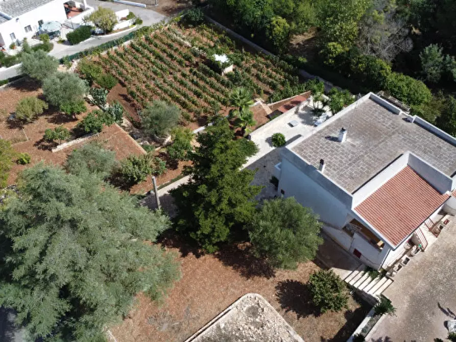 Immagine 1 di Villa in vendita  in strada delfini a Martina Franca