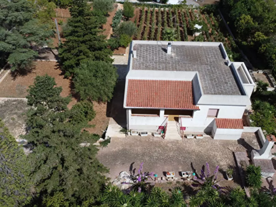 Immagine 3 di Villa in vendita  in strada delfini a Martina Franca