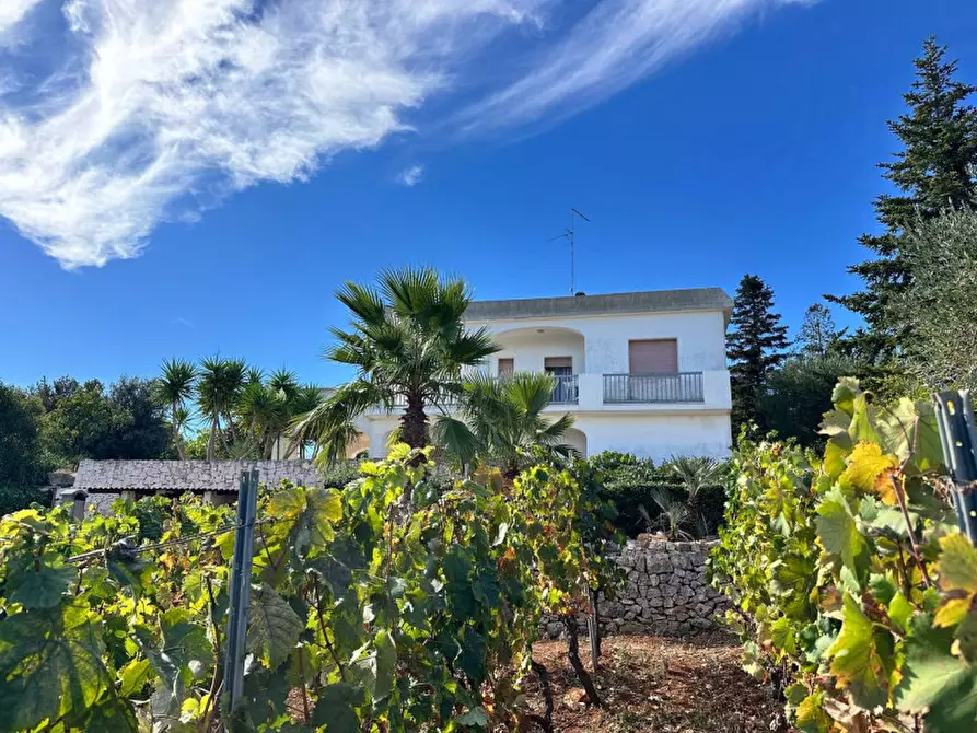 Immagine 5 di Villa in vendita  in strada delfini a Martina Franca