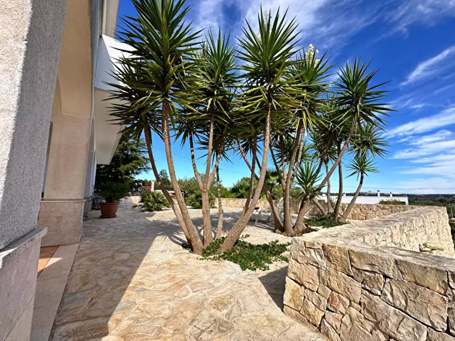 Immagine 7 di Villa in vendita  in strada delfini a Martina Franca