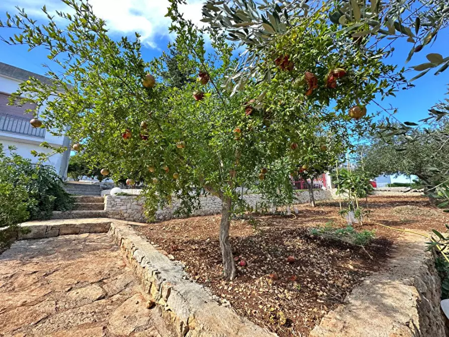 Immagine 8 di Villa in vendita  in strada delfini a Martina Franca