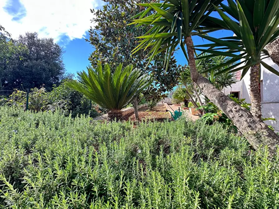 Immagine 9 di Villa in vendita  in strada delfini a Martina Franca