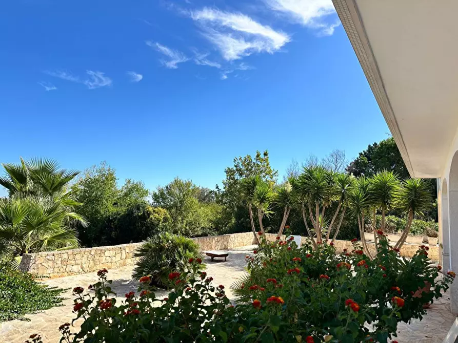 Immagine 10 di Villa in vendita  in strada delfini a Martina Franca