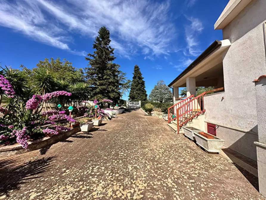 Immagine 17 di Villa in vendita  in strada delfini a Martina Franca