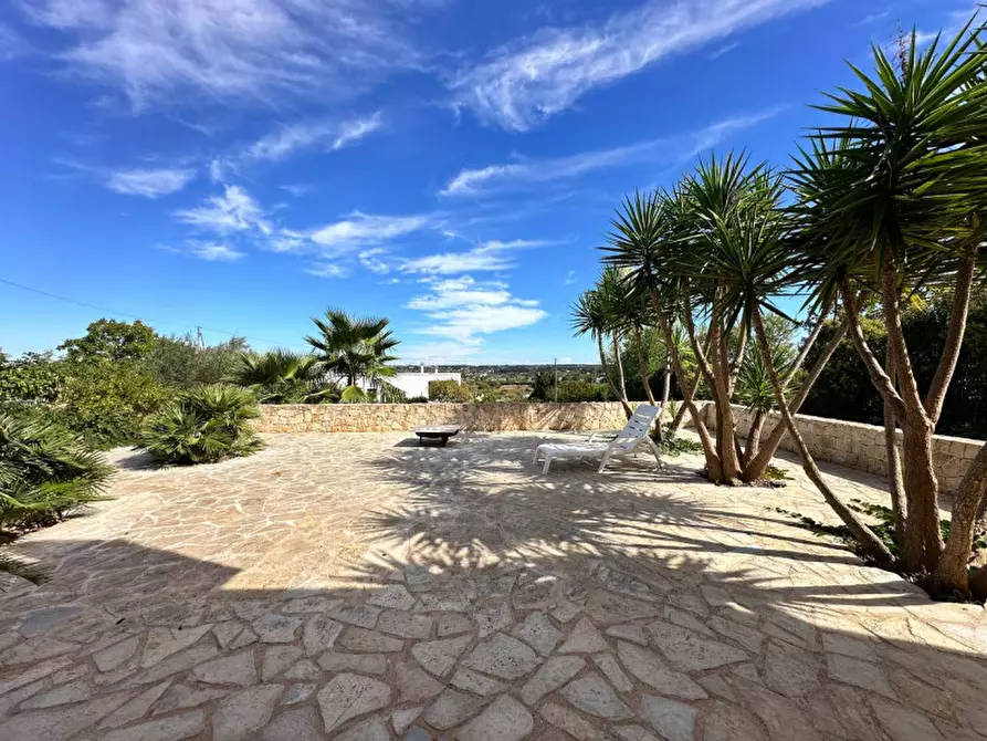 Immagine 19 di Villa in vendita  in strada delfini a Martina Franca