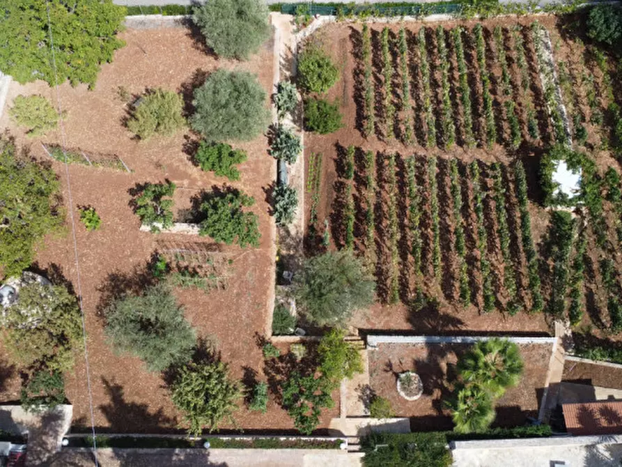 Immagine 21 di Villa in vendita  in strada delfini a Martina Franca