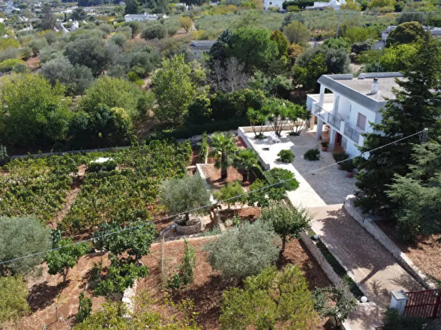 Immagine 24 di Villa in vendita  in strada delfini a Martina Franca