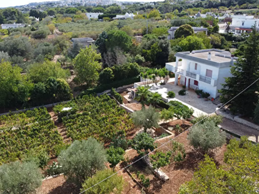 Immagine 25 di Villa in vendita  in strada delfini a Martina Franca