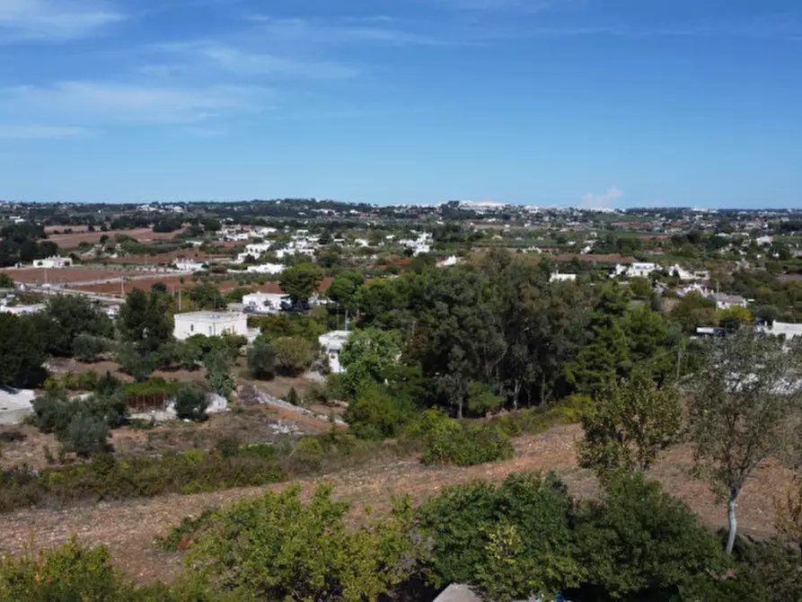 Immagine 26 di Villa in vendita  in strada delfini a Martina Franca