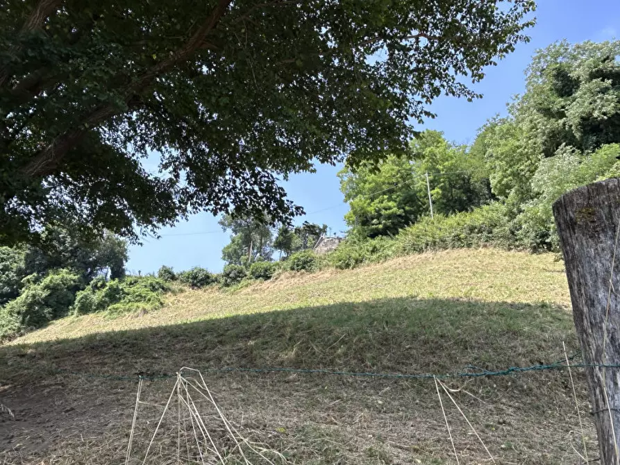 Immagine 7 di Terreno in vendita  a Caprino Veronese