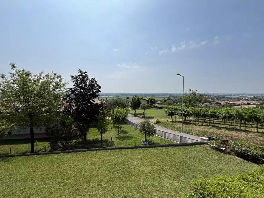 Immagine 3 di Casa bifamiliare in vendita  in Via IV Novembre a Orgiano