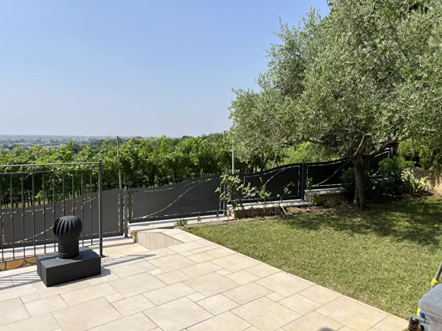 Immagine 33 di Casa bifamiliare in vendita  in Via IV Novembre a Orgiano