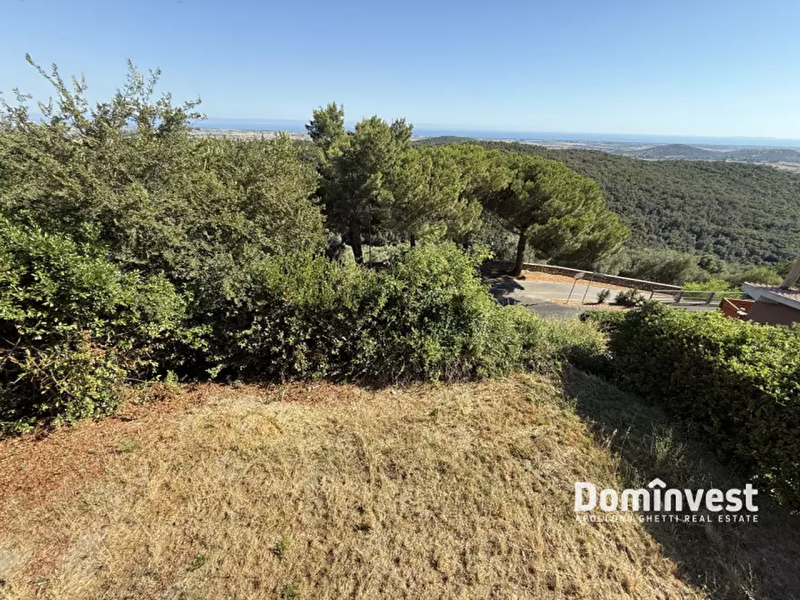 Immagine 9 di Rustico / casale in vendita  in Via Circonvallazione a Capalbio