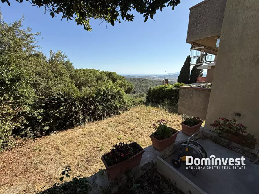 Immagine 16 di Rustico / casale in vendita  in Via Circonvallazione a Capalbio