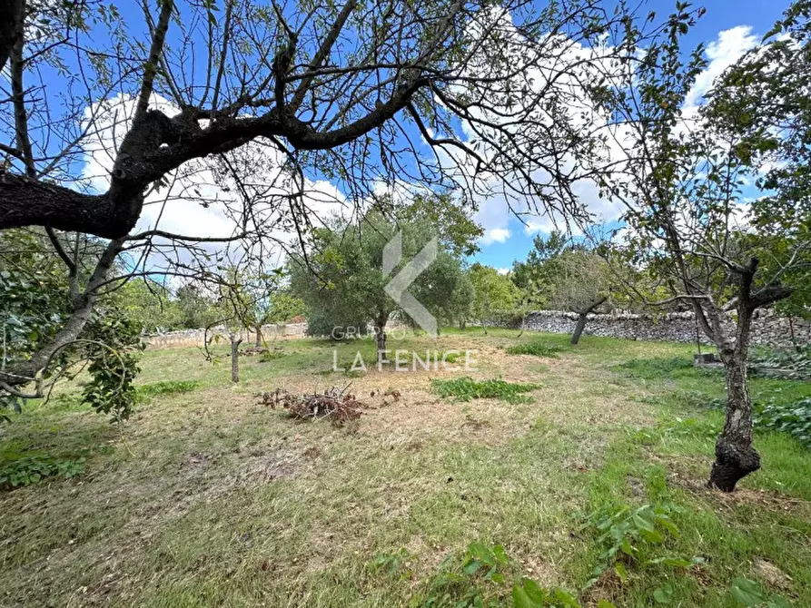 Immagine 36 di Villa in vendita  in strada madonna del pozzo a Martina Franca