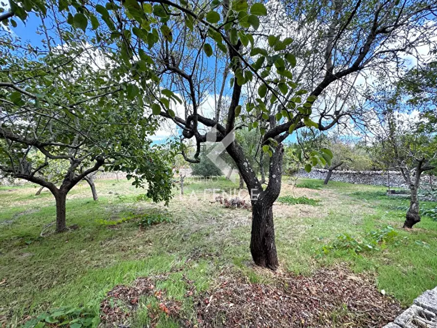 Immagine 37 di Villa in vendita  in strada madonna del pozzo a Martina Franca