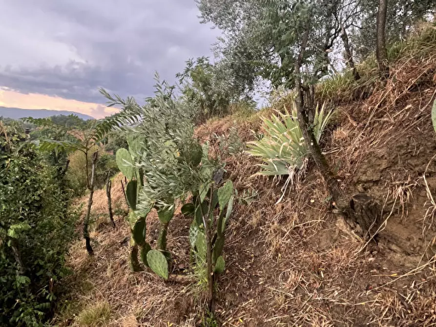 Immagine 37 di Casa bifamiliare in vendita  in Strada Comunale delle Cave a Terranuova Bracciolini