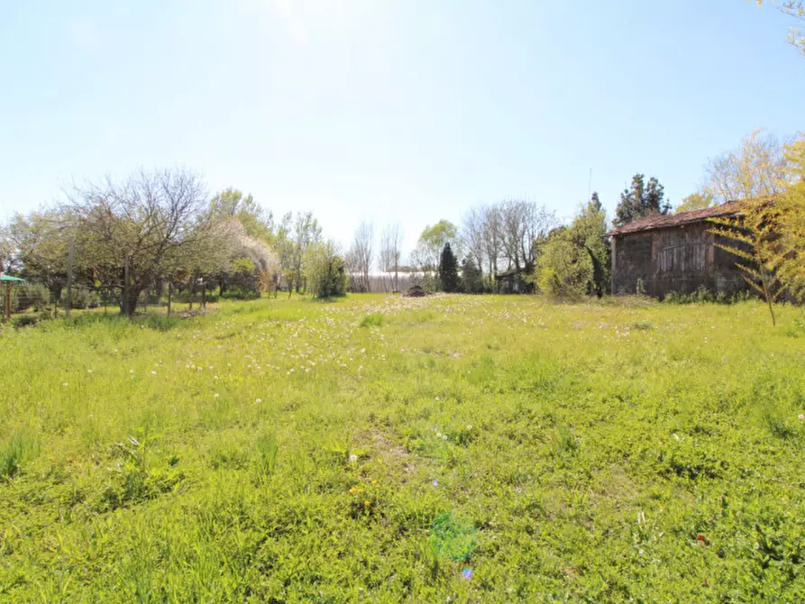Immagine 6 di Casa indipendente in vendita  a Monselice