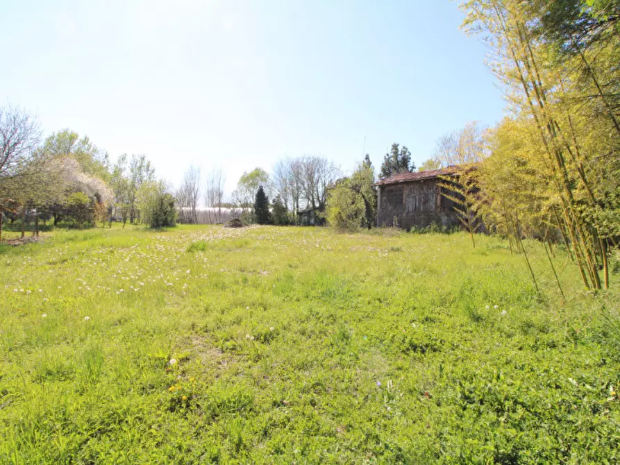 Immagine 7 di Casa indipendente in vendita  a Monselice