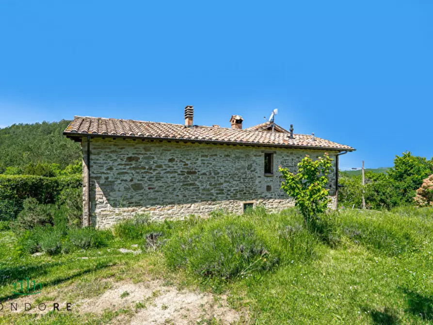 Immagine 25 di Rustico / casale in vendita  in Frazione Santa Cristina 21 a Gubbio