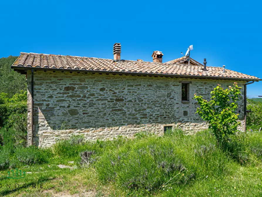Immagine 16 di Rustico / casale in vendita  in Frazione Santa Cristina 21 a Gubbio
