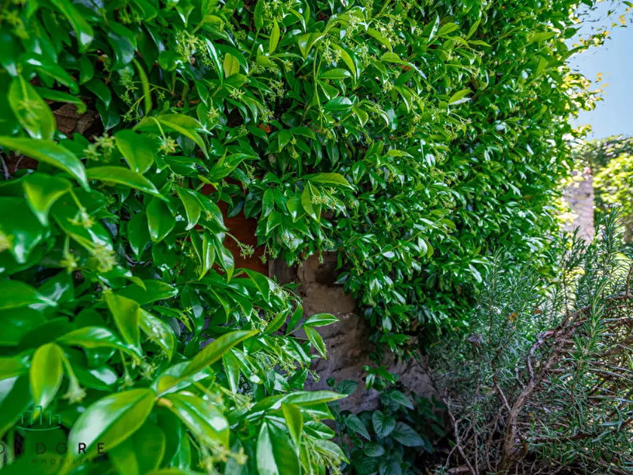 Immagine 33 di Rustico / casale in vendita  in Frazione Santa Cristina 21 a Gubbio
