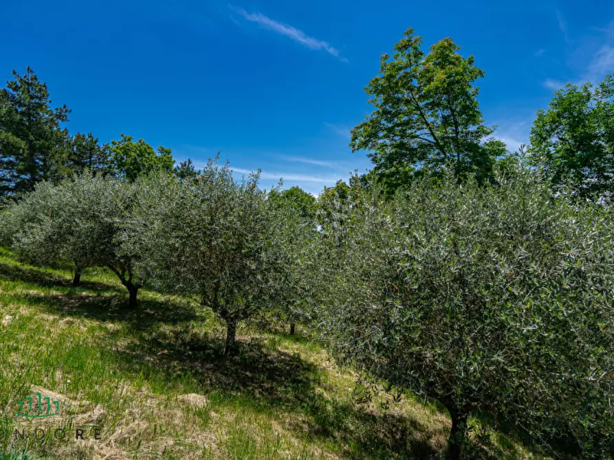 Immagine 49 di Rustico / casale in vendita  in Frazione Santa Cristina 21 a Gubbio