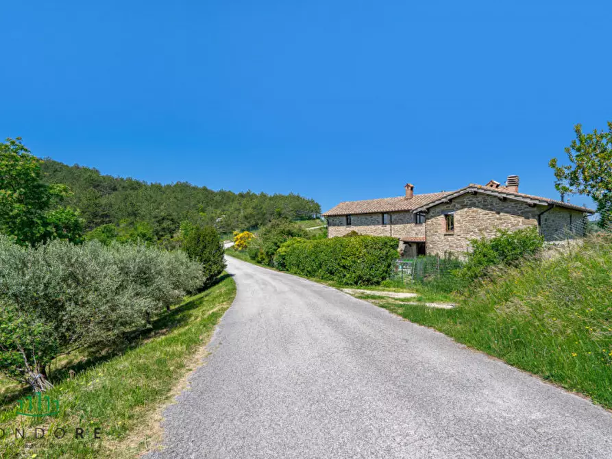 Immagine 60 di Rustico / casale in vendita  in Frazione Santa Cristina 21 a Gubbio