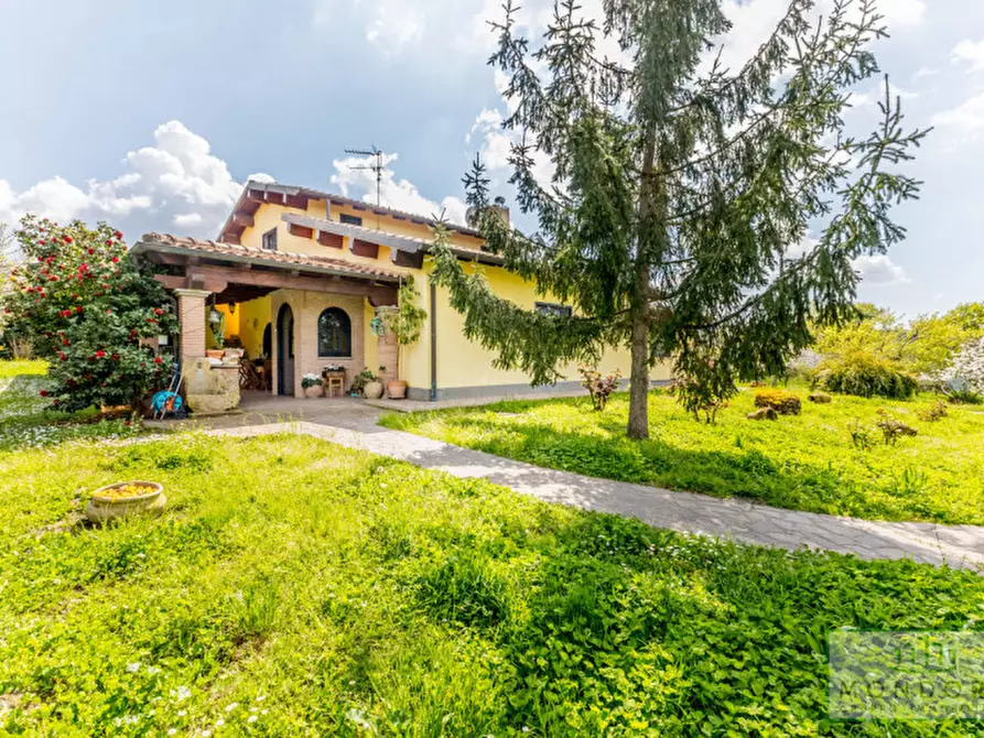 Immagine 5 di Villa in vendita  in via Vecchia di Velletri 33 a Grottaferrata