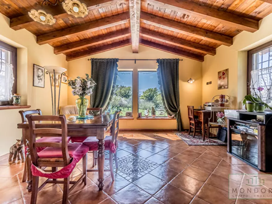 Immagine 6 di Villa in vendita  in via Vecchia di Velletri 33 a Grottaferrata