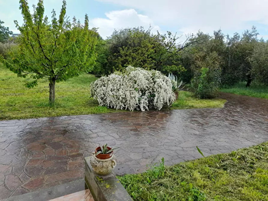 Immagine 19 di Villa in vendita  in via Vecchia di Velletri 33 a Grottaferrata