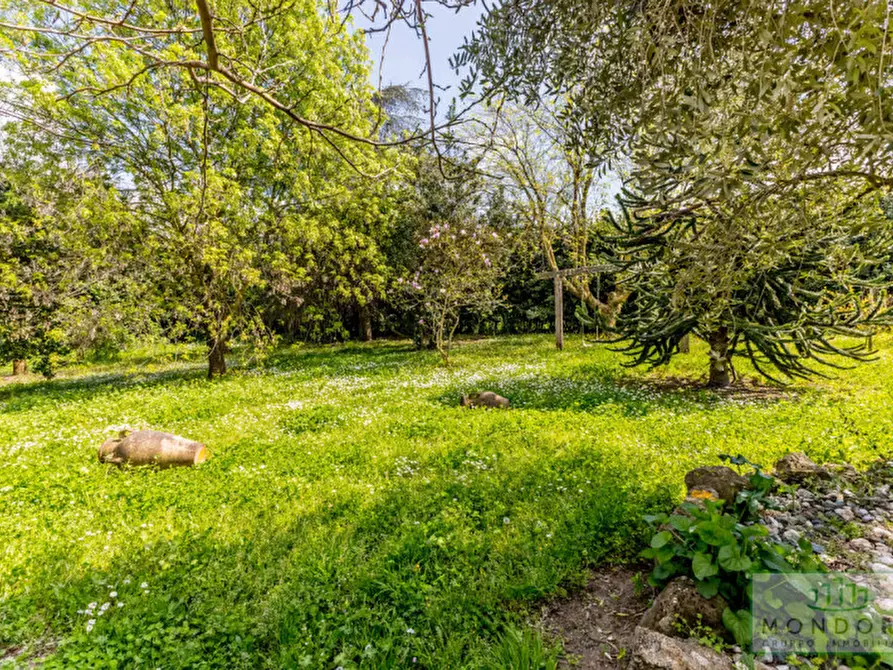 Immagine 22 di Villa in vendita  in via Vecchia di Velletri 33 a Grottaferrata