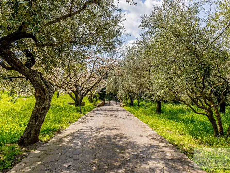Immagine 32 di Villa in vendita  in via Vecchia di Velletri 33 a Grottaferrata