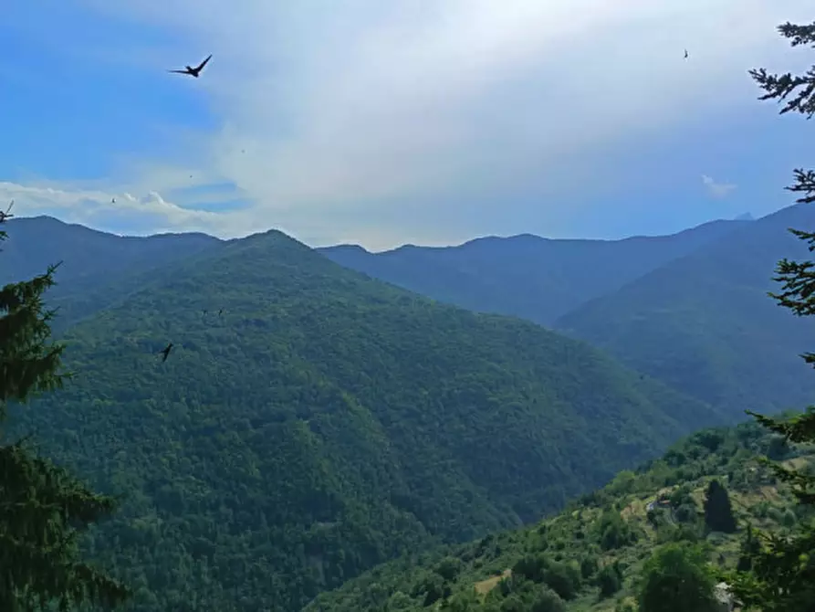 Immagine 1 di Appartamento in vendita  in LARGO GENERALE TAMAGNI a Triora