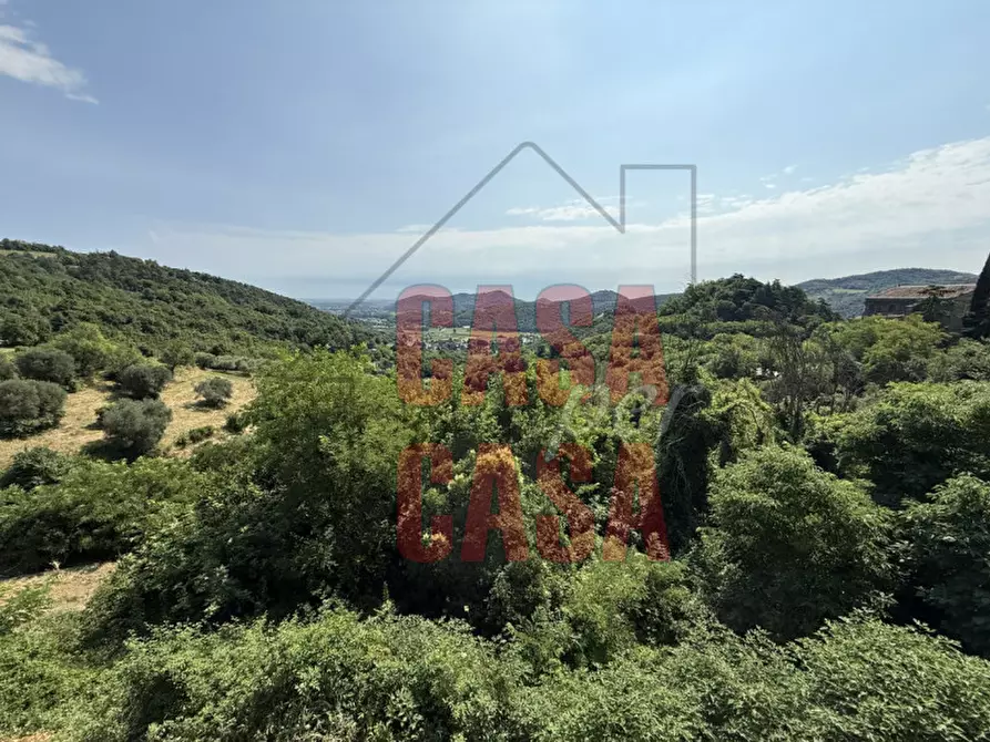 Immagine 18 di Appartamento in vendita  in Via Roma a Teolo